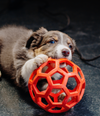 Dog toy ball