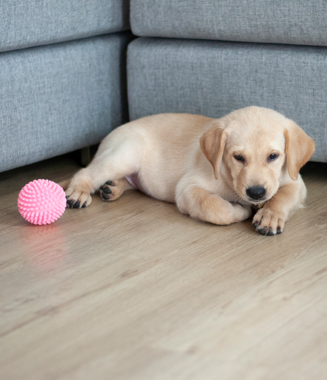 Rubber ball