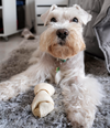 Dog bone toy