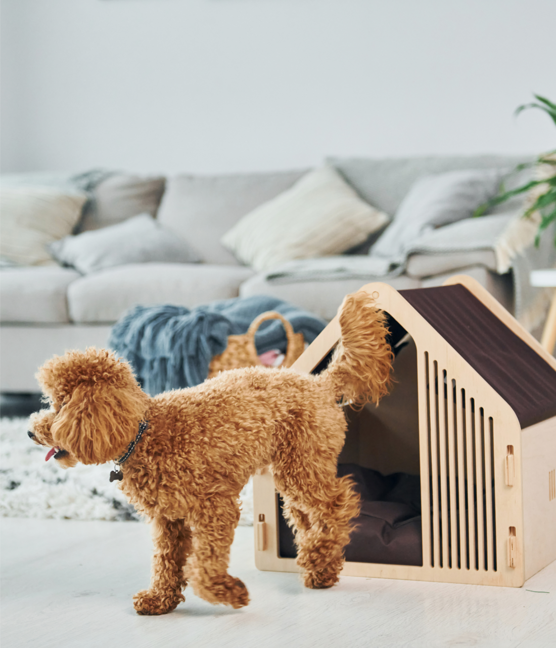 Pet wooden house