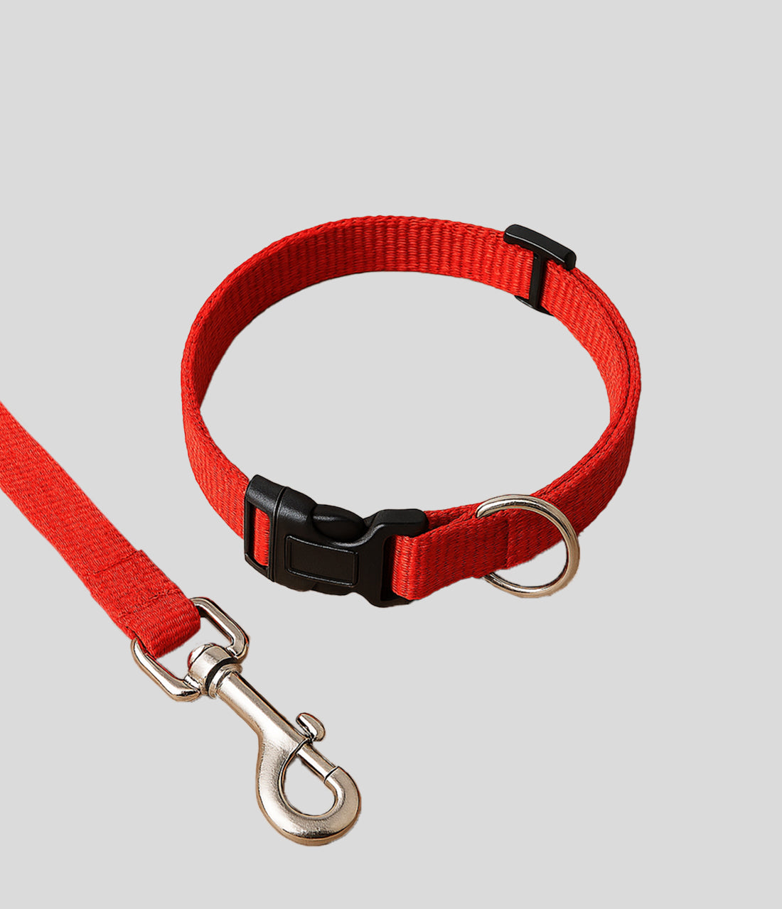 PawStride Collar & Leash Set